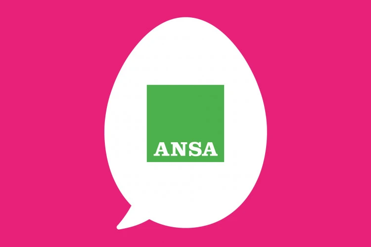 Conneggs su Ansa.it