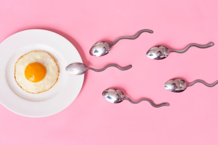 L'alimentazione e la fertilità